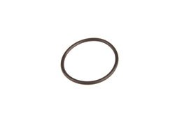 Rubber Ring F 00R 0P0 166_0