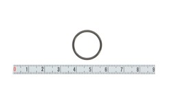 Seal Ring F 00V C38 045