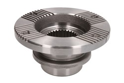 Flange, differential 197073_1