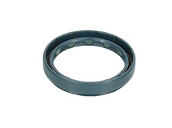 Seal Ring, steering knuckle CO01026493B_1
