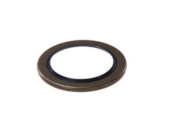 Shaft Seal, differential CO01027950B