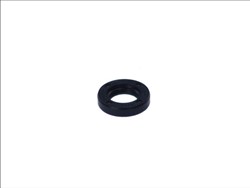 Seal Ring CO12010772B
