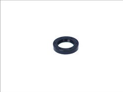 Seal Ring CO12010783B