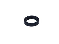 Seal Ring CO12010821B
