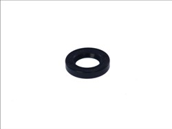 Seal Ring CO12010825B