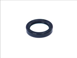 Seal Ring CO12010870B