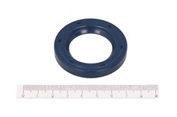 Shaft Seal, differential CO12010898B_0