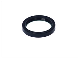 Seal Ring CO12010903B