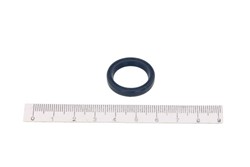 Seal Ring CO12011218B_0