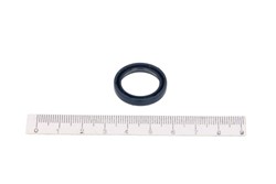 Seal Ring CO12011218B_1