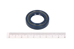 Seal Ring CO12011519B_0