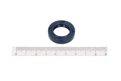 Seal Ring CO12013159B