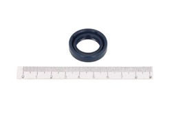 Seal Ring CO12013159B_1