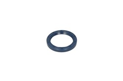 Seal Ring, steering knuckle CO12013905B_0