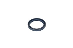 Seal Ring, steering knuckle CO12013905B_1