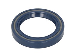 Seal Ring CO12015110B