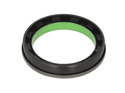 Seal Ring, steering knuckle CO12019185B