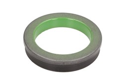 Seal Ring, steering knuckle CO12019230B_0