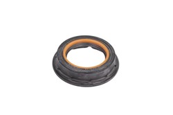 Seal Ring CO15019950B