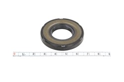 Seal Ring CO19025690B