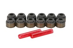 Seal Set, valve stem CO19036005