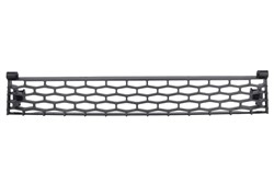 Cover, radiator grille XF6/155