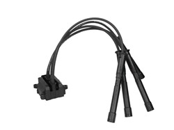 Ignition Coil CE20018-12B1