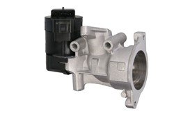 EGR valve EG10396-12B1_2
