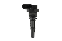 Ignition Coil GN10198-12B1_1