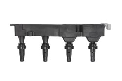 Ignition Coil GN10319-12B1_0