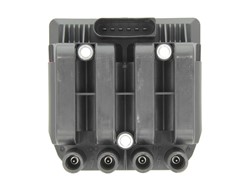 Ignition Coil GN10383-12B1