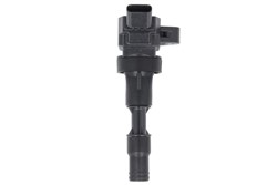 Ignition Coil GN11002-12B1