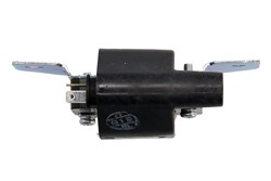 Ignition Coil DIC-0116_1