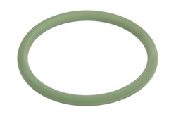 Seal Ring EL002820