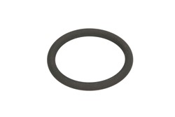 Seal Ring EL002840_0