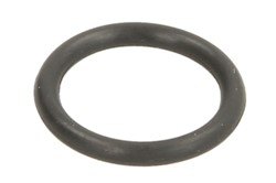 Seal Ring EL002870