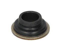 Seal Ring, cylinder head cover bolt EL074820