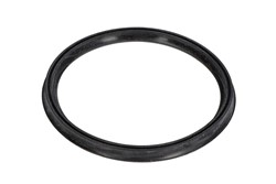 Seal Ring, charge air hose EL087370