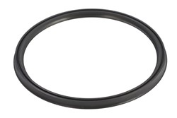 Seal Ring, charge air hose EL094870
