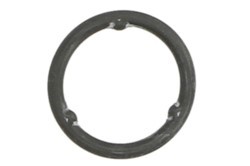 Seal Ring, oil cooler EL315540_0