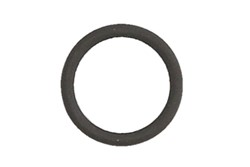 Seal Ring EL635580
