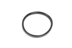 Seal Ring EL759147