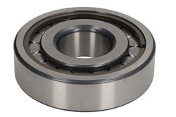 Input shaft bearing - outer track 98170353_1