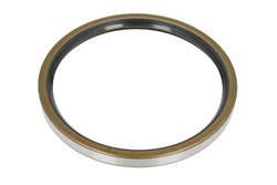 Shaft Seal, wheel hub FE01898