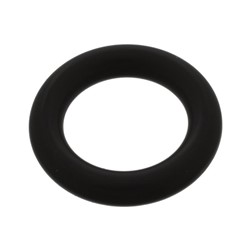 Seal Ring FE02343_1