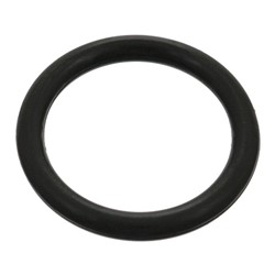 Seal Ring, brake shoe FE05019_0
