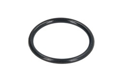 Seal Ring, nozzle holder FE103836