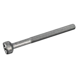 Screw, injection nozzle holder FE172930