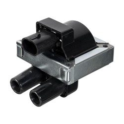 Ignition Coil FE19929_1