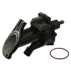 Vacuum Pump, braking system FE22704